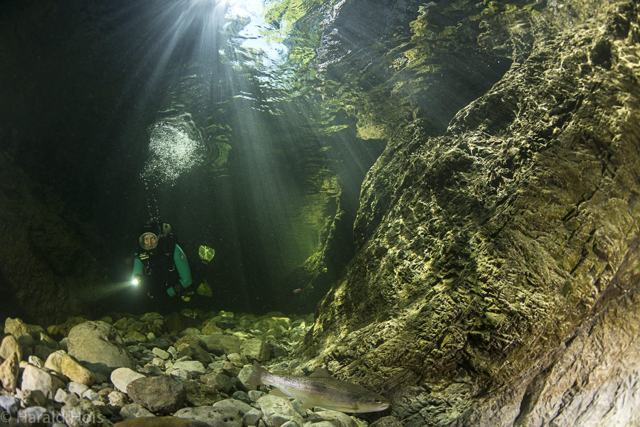 Gebirgsbach unter Wasser