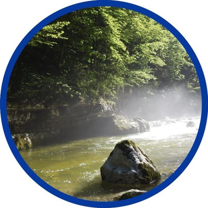 Naturnaher Bach im Wald